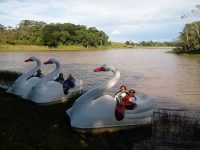 Turistas de Manaus em CZS (4)